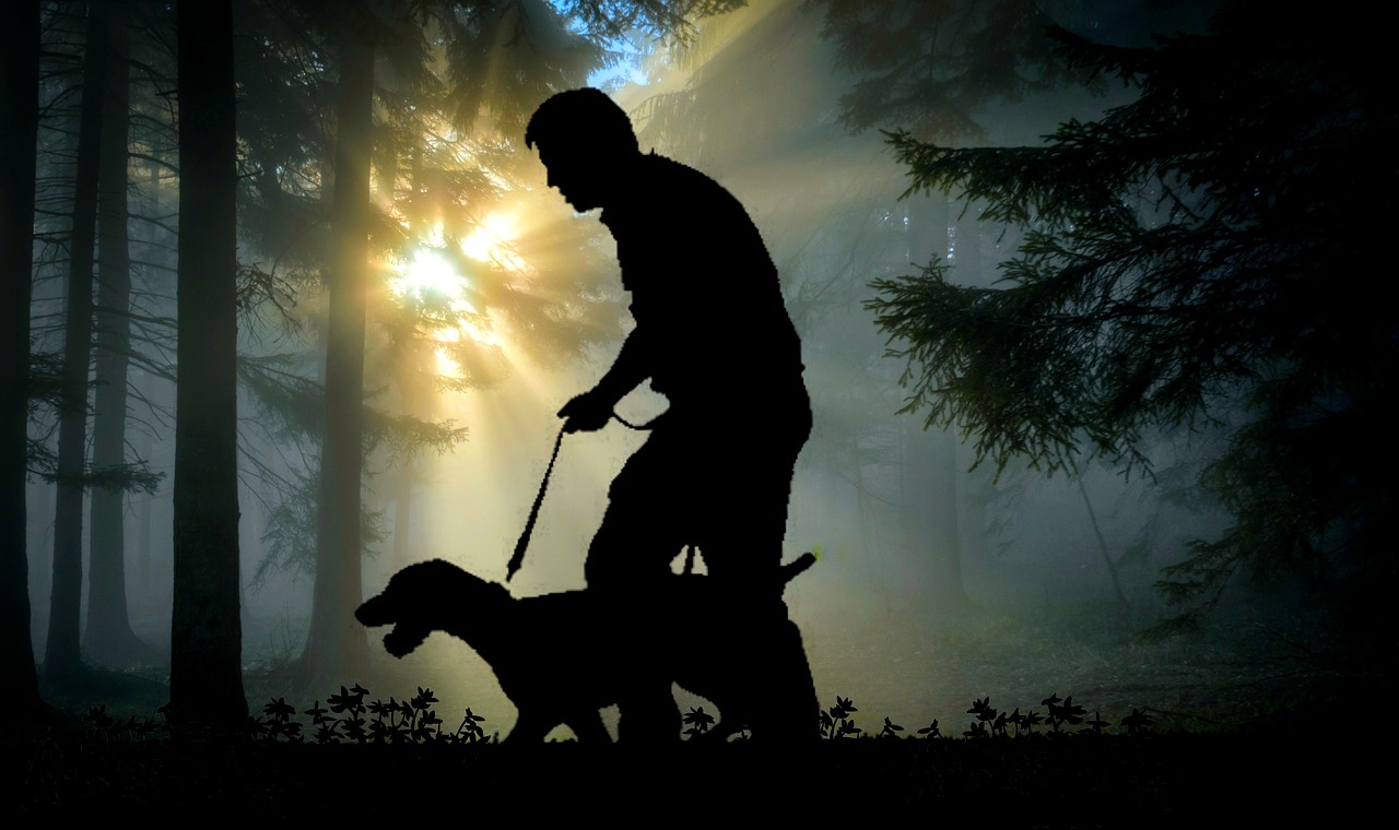 Guide to Buying a Hunting Spotlight