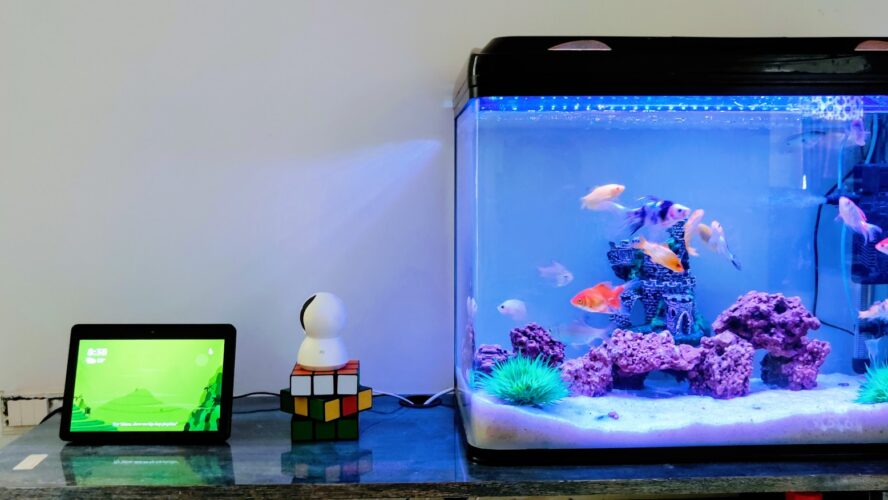 The Art of Crafting 3D Aquarium Backgrounds: Turning Fish Tanks Into Living Landscapes