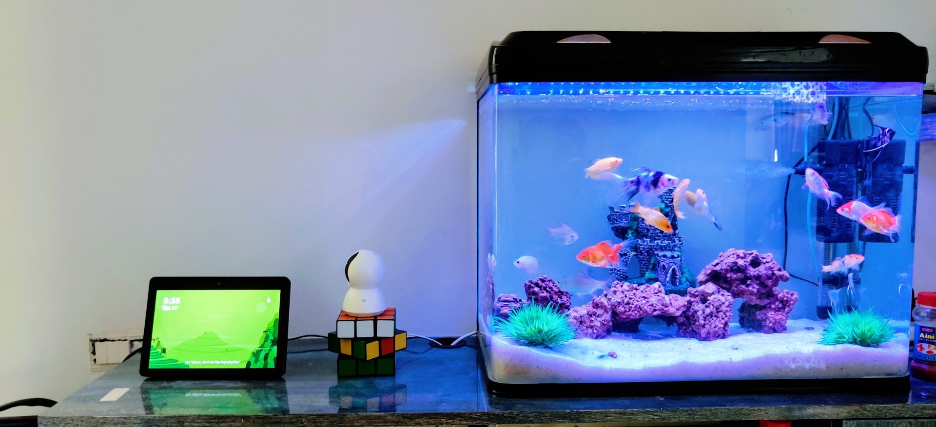 The Art of Crafting 3D Aquarium Backgrounds: Turning Fish Tanks Into Living Landscapes